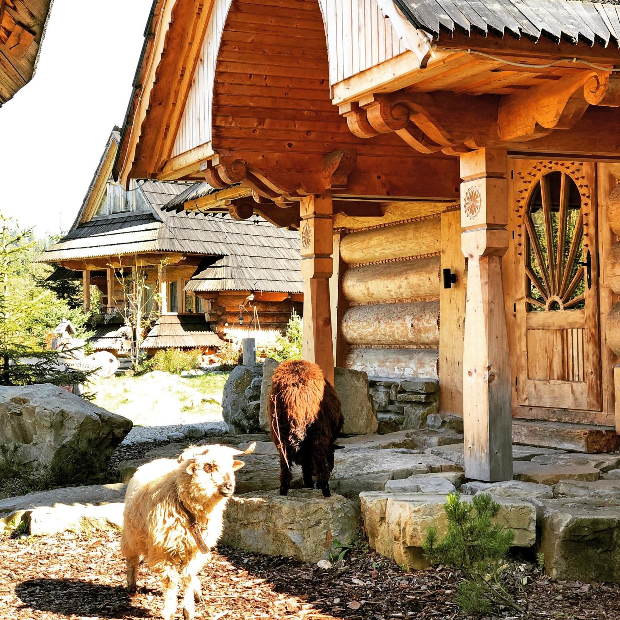 Gorska Osada Lovely Chalets Zakopane ポロニン エクステリア 写真
