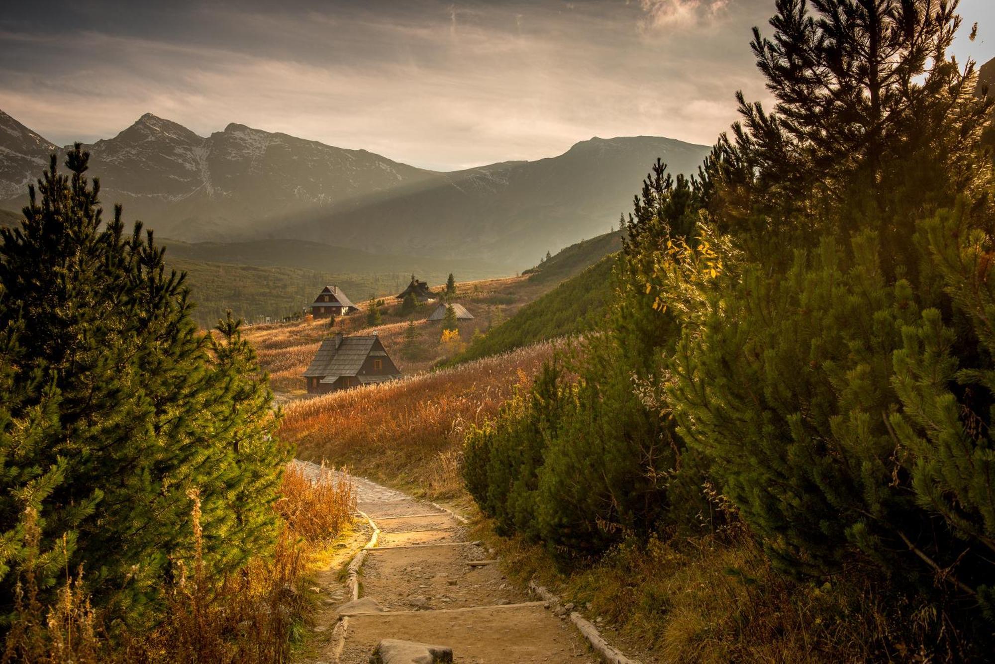 Gorska Osada Lovely Chalets Zakopane ポロニン エクステリア 写真